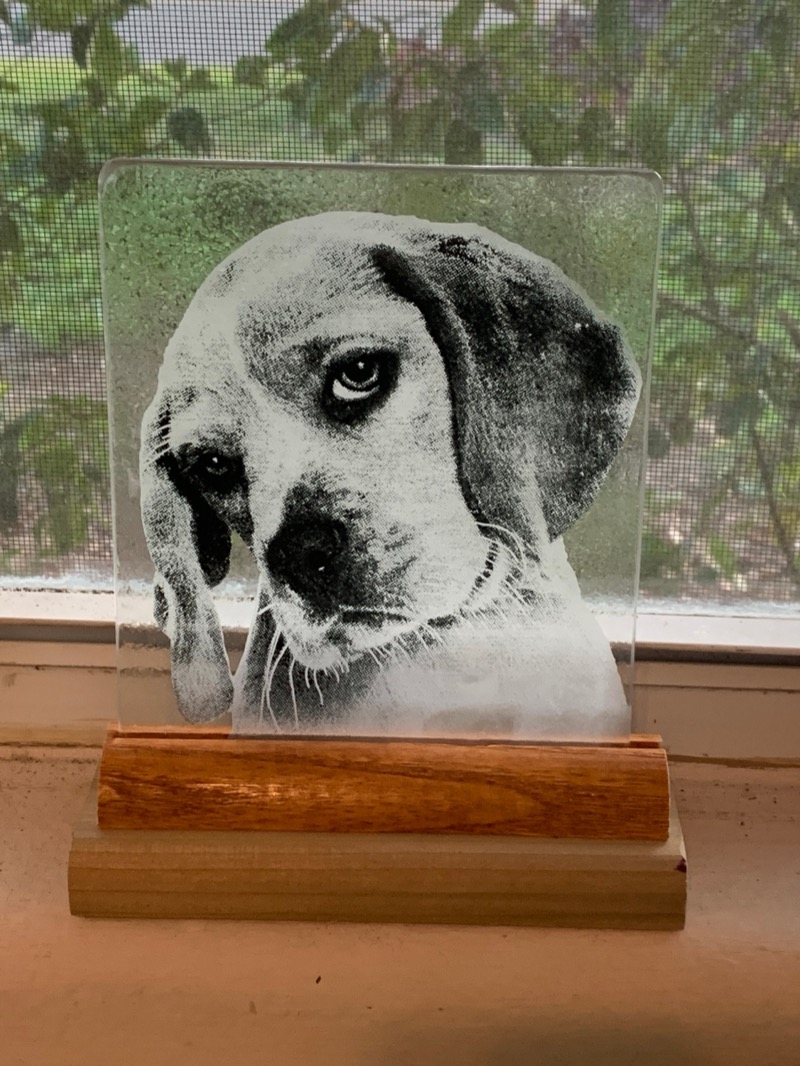 Screen-printed portrait of a beagle on glass with wooden stand
